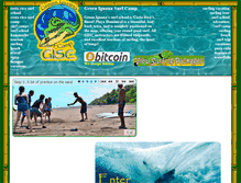 Tablet Screenshot of greeniguanasurfcamp.com